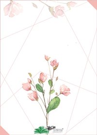 《我家的小傻瓜》