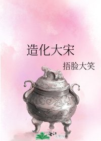 《造化大宋》