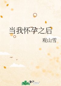 《当我怀孕之后》