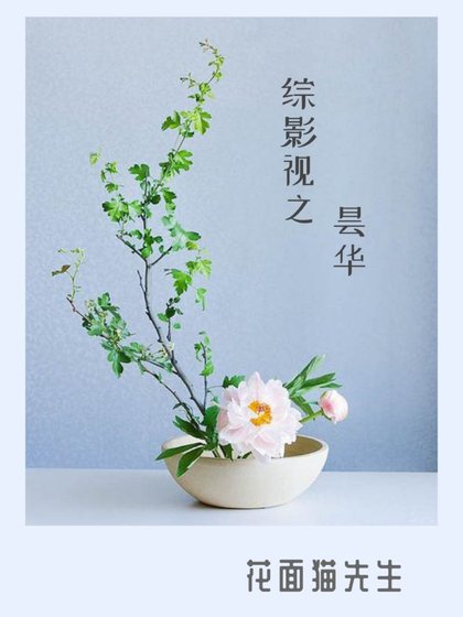 综影视之昙华