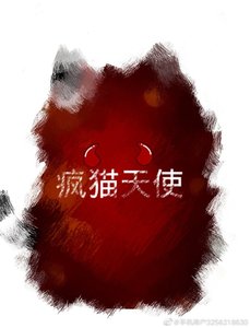 疯猫天使