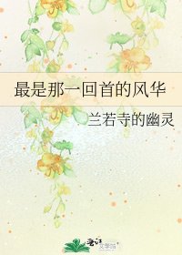 《最是那一回首的风华》