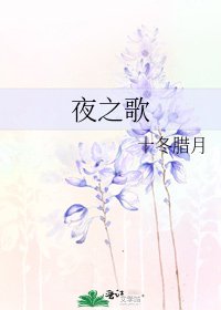 夜之歌
