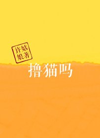 《撸猫吗》