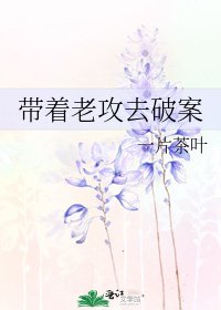 《带着老攻去破案》