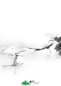 全职法师之凡尘