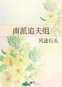 南派追夫组