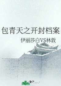 包青天之开封档案