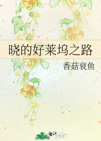 《晓的好莱坞之路》