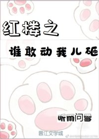 《红楼之谁敢动我儿砸》
