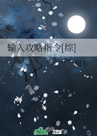 输入攻略指令[综]
