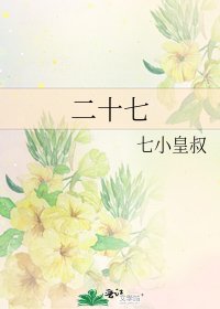 《二十七》