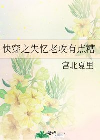 快穿之失忆老攻有点糟