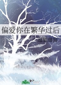 《偏爱你在繁华过后》
