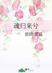 《魂归来兮》