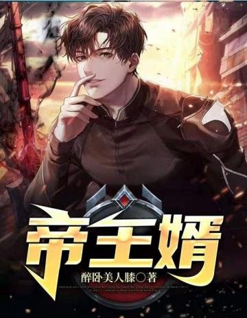 《帝王婿》