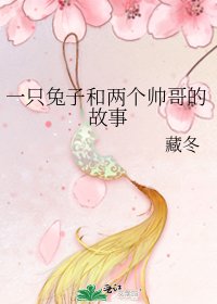 一只兔子和两个帅哥的故事