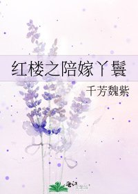 《红楼之陪嫁丫鬟》