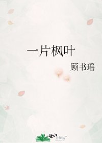 一片枫叶
