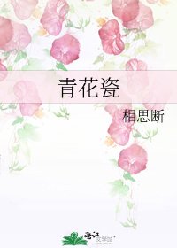 《青花瓷》