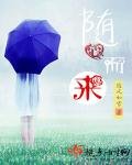 随心而来