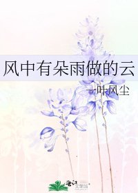 《風中有朵雨做的雲》