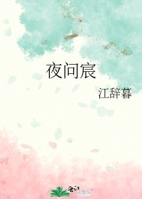 《夜问宸》