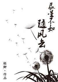 辰星不如随风去