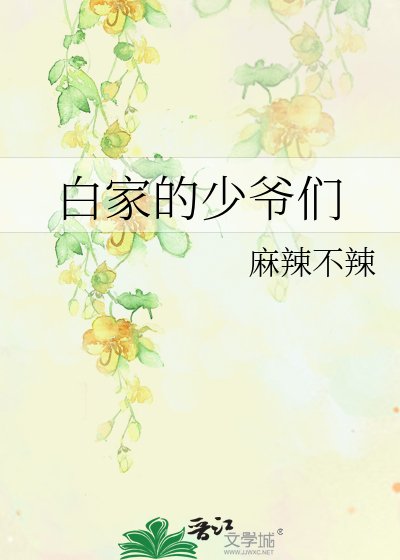 《白家的少爷们》