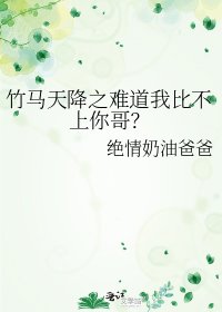 《竹马天降之难道我比不上你哥?》