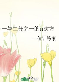 《一與二分之一的n次方》
