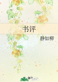 书评