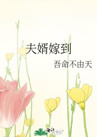 《夫婿嫁到》
