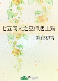 《七五同人之巫师遇上猫》