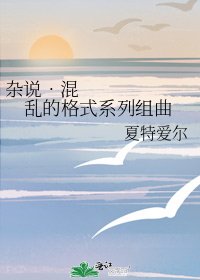 《杂说•混乱的格式系列组曲》