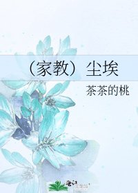 (家教)尘埃