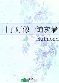日子好像一道灰墙