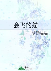 《会飞的猫》