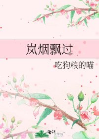 岚烟飘过