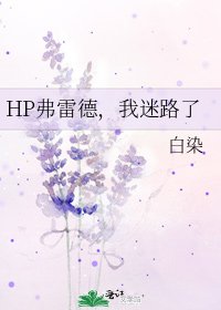 HP弗雷德,我迷路了