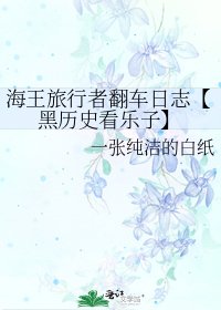 《海王旅行者翻车日志【黑历史看乐子】》