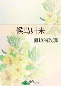 《候鸟归来》