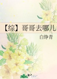 《【综】哥哥去哪儿》