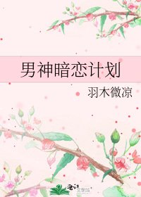 男神暗戀計劃