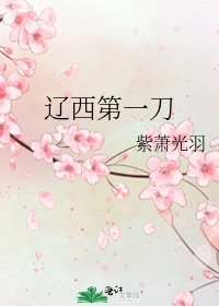 《辽西第一刀》