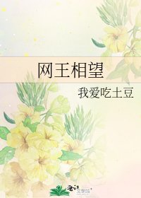 《网王相望》