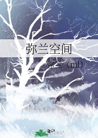 弥兰空间