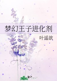 梦幻王子任化剂