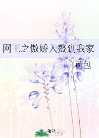 《网王之傲娇入赘到我家》