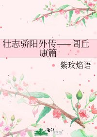 壮志骄阳外传——闾丘康篇